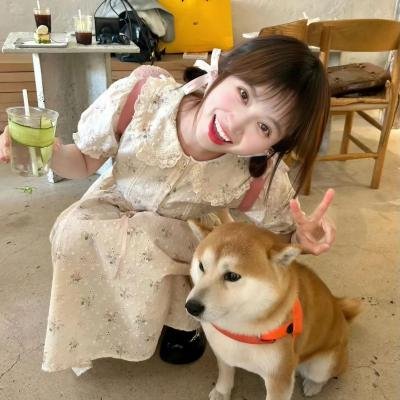 每天都在征服生活
